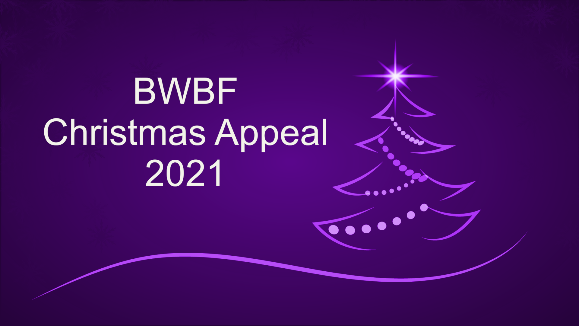 Christmas Appeal7